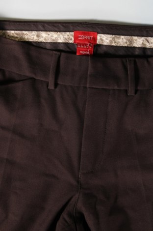 Damenhose Esprit, Größe XS, Farbe Braun, Preis € 10,49