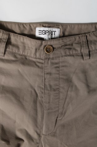 Damenhose Esprit, Größe M, Farbe Beige, Preis 8,99 €