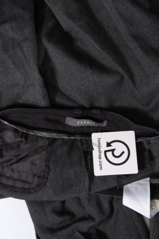 Damenhose Esprit, Größe L, Farbe Grau, Preis € 10,49