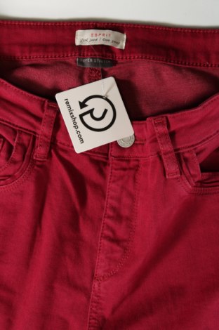 Damenhose Esprit, Größe M, Farbe Rosa, Preis 10,99 €