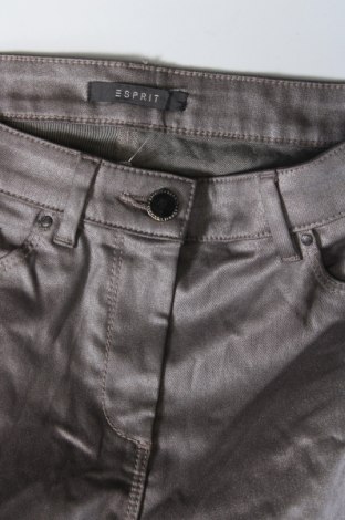 Damenhose Esprit, Größe XS, Farbe Grau, Preis € 14,99