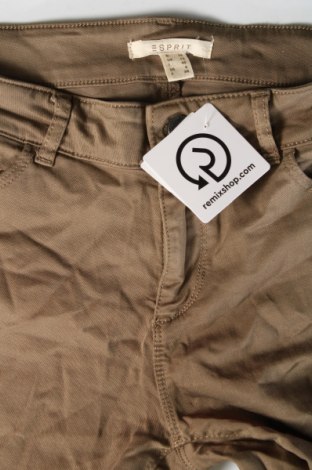 Damenhose Esprit, Größe S, Farbe Grün, Preis € 5,99