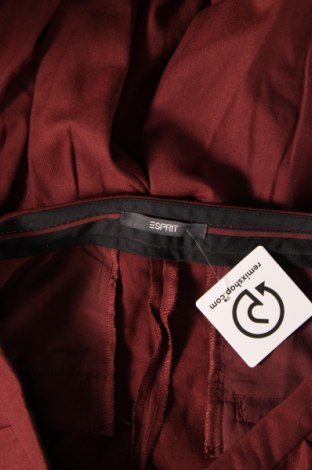 Damenhose Esprit, Größe M, Farbe Rot, Preis € 4,99