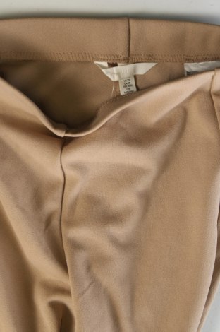 Damenhose H&M, Größe XS, Farbe Beige, Preis 20,49 €