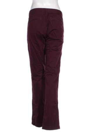 Damenhose Maison Scotch, Größe L, Farbe Lila, Preis 26,99 €