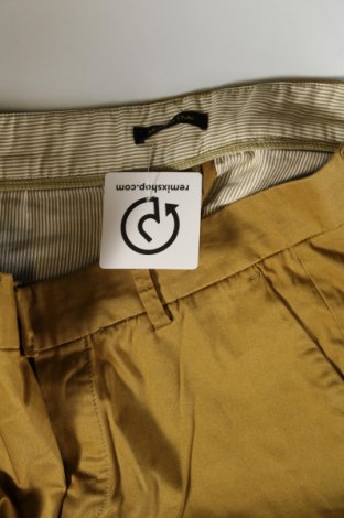 Damenhose Massimo Dutti, Größe S, Farbe Grün, Preis € 24,49