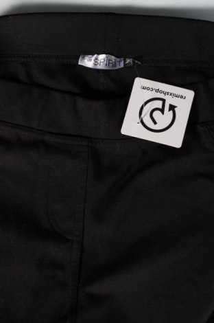 Damenhose True Spirit, Größe M, Farbe Schwarz, Preis € 6,49