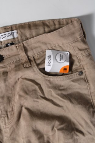 Damenhose True Spirit, Größe M, Farbe Beige, Preis € 32,49