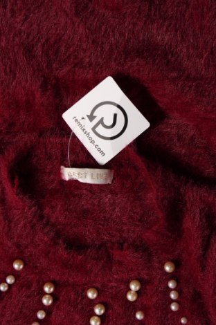 Damenpullover, Größe S, Farbe Rosa, Preis € 10,49