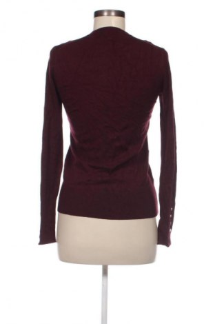 Damenpullover Zara, Größe S, Farbe Lila, Preis 9,99 €