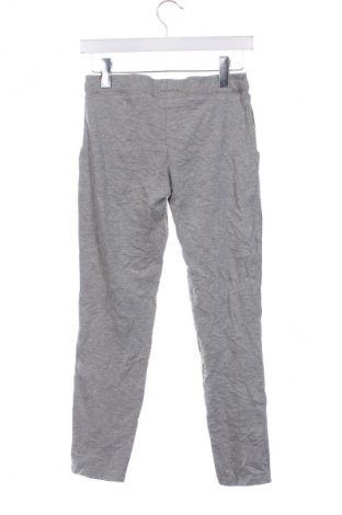 Damen Sporthose Nielsson, Größe XS, Farbe Grau, Preis € 10,49