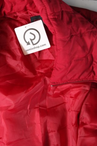 Damenjacke, Größe L, Farbe Rot, Preis € 13,99