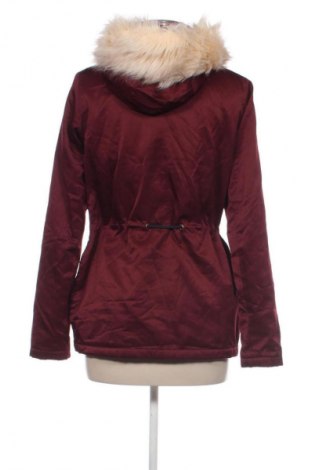 Damenjacke Dorothy Perkins, Größe S, Farbe Rot, Preis € 26,49