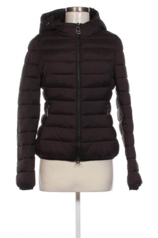 Damenjacke Monte Cervino, Größe M, Farbe Schwarz, Preis € 22,99