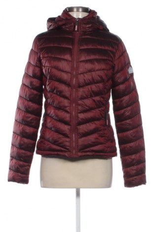 Damenjacke Superdry, Größe M, Farbe Rot, Preis € 64,99