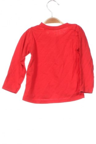 Kinder Shirt Sinsay, Größe 12-18m/ 80-86 cm, Farbe Rot, Preis 3,99 €