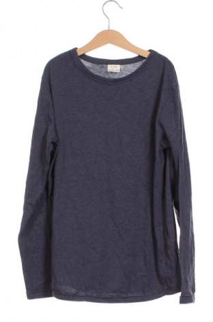 Detská blúzka  Zara Kids, Veľkosť 11-12y/ 152-158 cm, Farba Modrá, Cena  3,95 €