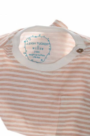 Kinder T-Shirt Willow, Größe 3-6m/ 62-68 cm, Farbe Mehrfarbig, Preis € 3,99