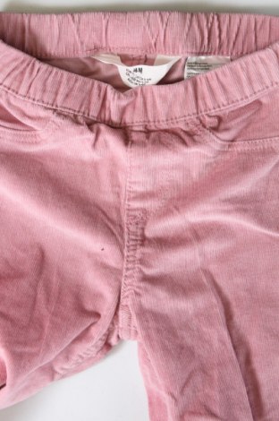 Kinder Cordhose H&M, Größe 5-6y/ 116-122 cm, Farbe Lila, Preis € 7,99