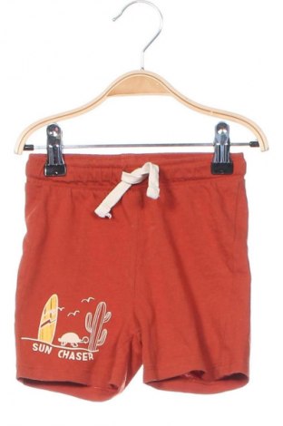 Kinder Shorts, Größe 12-18m/ 80-86 cm, Farbe Braun, Preis € 7,22