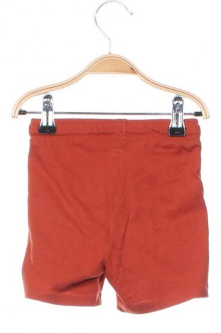 Kinder Shorts, Größe 12-18m/ 80-86 cm, Farbe Braun, Preis € 7,22