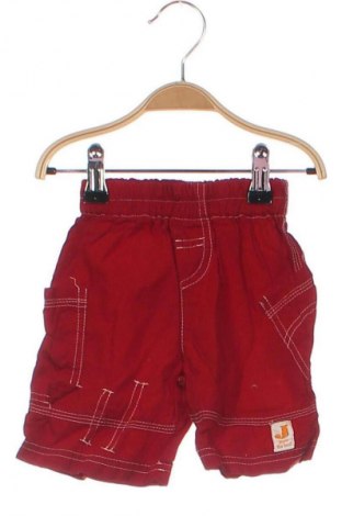 Kinder Shorts, Größe 9-12m/ 74-80 cm, Farbe Rot, Preis € 2,99