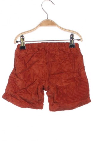 Kinder Shorts F.LLI Campagnolo, Größe 18-24m/ 86-98 cm, Farbe Braun, Preis 6,99 €