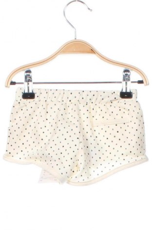 Kinder Shorts Mexx, Größe 3-6m/ 62-68 cm, Farbe Mehrfarbig, Preis € 13,99