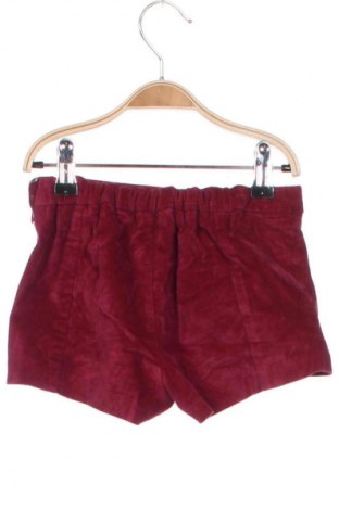 Kinder Shorts Piazza Italia, Größe 4-5y/ 110-116 cm, Farbe Rot, Preis € 5,49