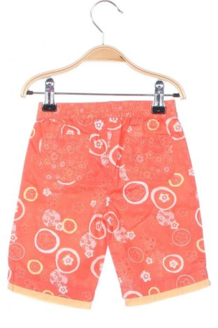 Kinder Shorts Tu, Größe 3-6m/ 62-68 cm, Farbe Orange, Preis 6,49 €