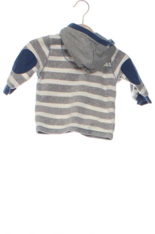 Kinder Sweatshirts Eat Ants By Sanetta, Größe 3-6m/ 62-68 cm, Farbe Mehrfarbig, Preis € 7,49