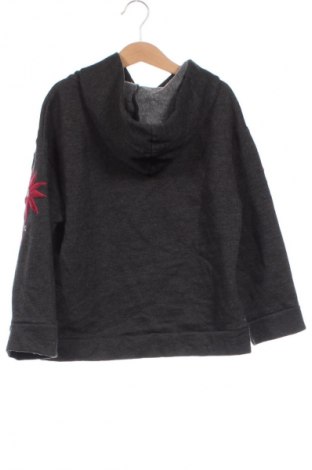 Kinder Sweatshirts Zara, Größe 6-7y/ 122-128 cm, Farbe Grau, Preis 6,99 €