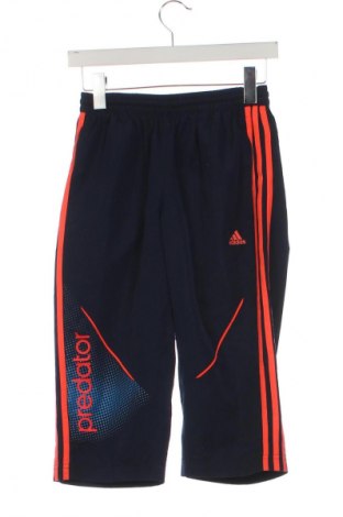 Kinder Sporthose Adidas, Größe 13-14y/ 164-168 cm, Farbe Blau, Preis 7,49 €