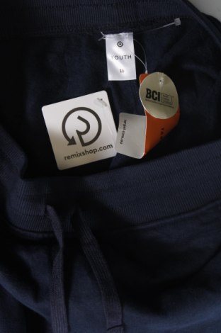 Pantaloni de trening, pentru copii Target, Mărime 15-18y/ 170-176 cm, Culoare Albastru, Preț 64,99 Lei