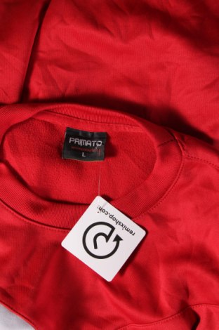 Herren Shirt, Größe L, Farbe Rot, Preis € 6,99