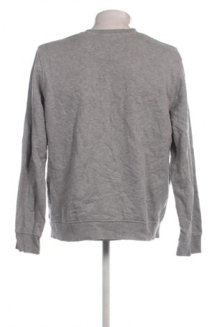 Herren Shirt Lapasa, Größe 3XL, Farbe Grau, Preis € 6,49