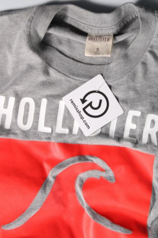 Herren T-Shirt Hollister, Größe S, Farbe Grau, Preis € 7,16