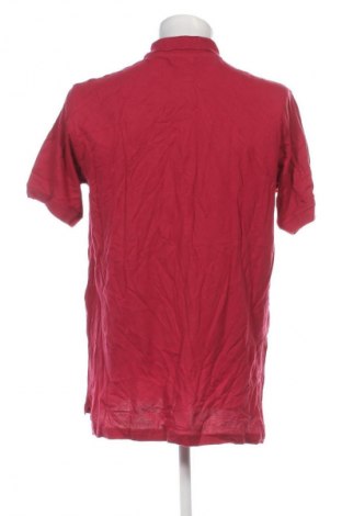 Herren T-Shirt In Extenso, Größe 3XL, Farbe Rot, Preis € 16,99