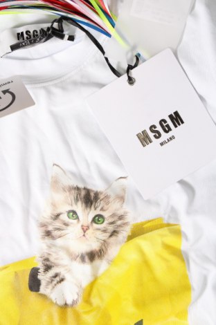 Herren T-Shirt MSGM, Größe S, Farbe Weiß, Preis € 105,99