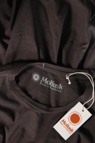 Ανδρικό t-shirt Mollusk, Μέγεθος S, Χρώμα Καφέ, Τιμή 27,99 €