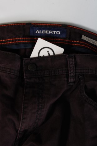 Herren Jeans Alberto, Größe XL, Farbe Braun, Preis 49,99 €