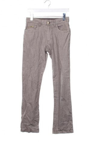 Herren Jeans Armani Collezioni, Größe S, Farbe Grau, Preis 14,99 €