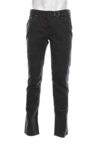 Herren Cordhose Calvin Klein Jeans, Größe L, Farbe Grau, Preis 56,99 €