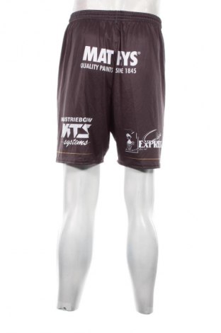 Herren Shorts, Größe M, Farbe Grau, Preis 6,99 €