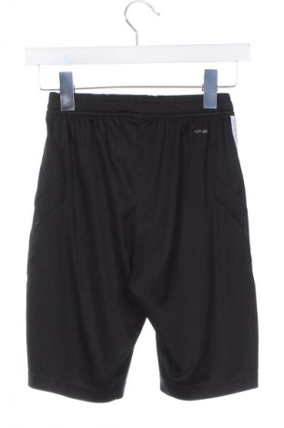 Herren Shorts Adidas, Größe XS, Farbe Schwarz, Preis 20,99 €