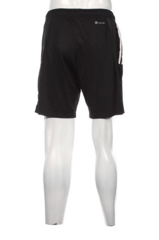 Herren Shorts Adidas, Größe L, Farbe Schwarz, Preis 10,99 €