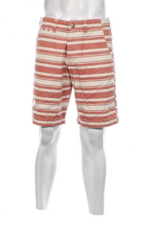 Herren Shorts CedarWood State, Größe L, Farbe Mehrfarbig, Preis € 20,49