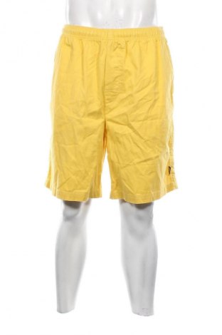 Herren Shorts Stussy, Größe L, Farbe Gelb, Preis 58,49 €