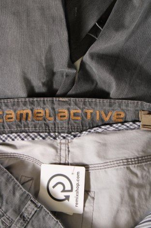 Мъжки панталон Camel Active, Размер M, Цвят Сив, Цена 47,99 лв.