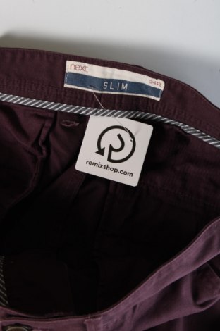 Herrenhose Nextmia, Größe L, Farbe Lila, Preis € 27,49